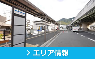 エリア情報