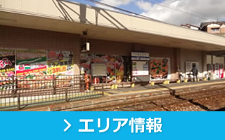 エリア情報