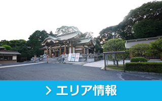 エリア情報
